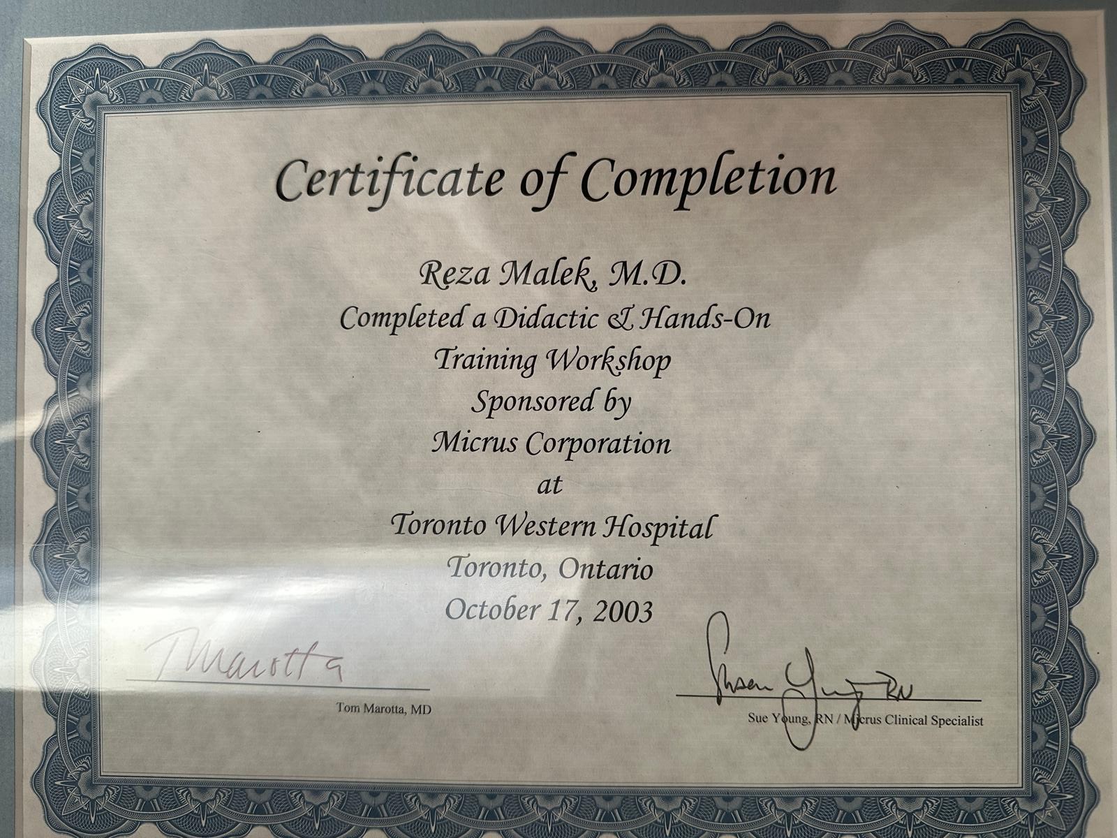 Certificate of Completion — Didactic & Hands-On Workshop, 2003 — Micrus Corporation · Toronto Western Hospital